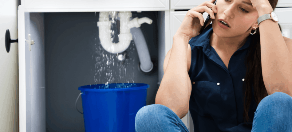 Bio et canalisations : attention aux bouchons ! 