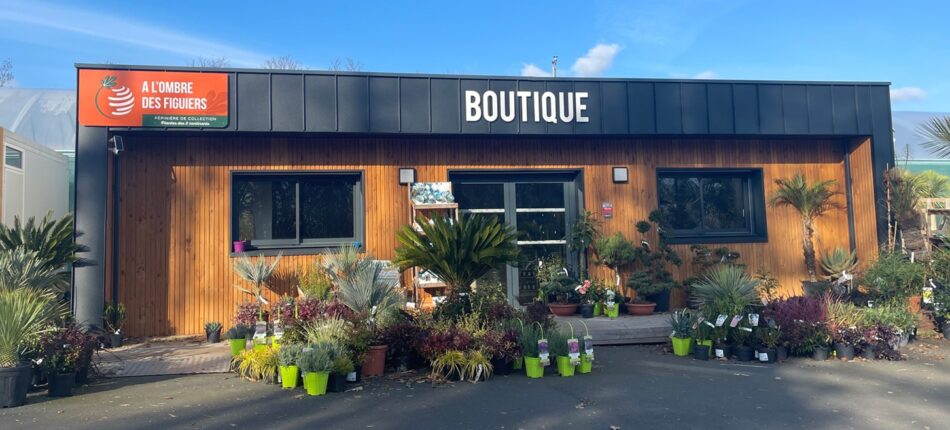 Construction de locaux professionnels avec Natilia: les atouts de l’ossature bois 