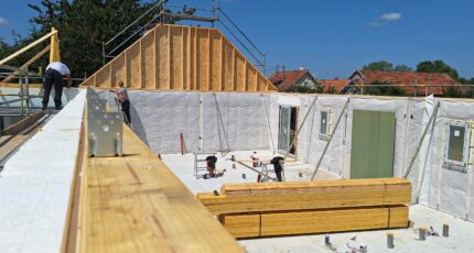 Les maisons ossature bois Natilia : notre force naturelle, le bois