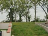 Terrain à bâtir à Villefranche-de-Lauragais (31290) 183-100016annonce12025022456ARJ.jpeg Natilia