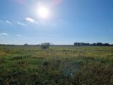 Terrain à bâtir à Merville (31330) 309-100016annonce1202503252VGyC.jpeg Natilia