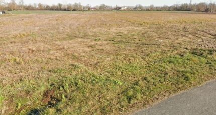 Cazères Maison neuve - 523-100016annonce120250528TMZIX.jpeg Natilia