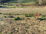 Terrain à bâtir à Nailloux (31560) 166-100016annonce120250301zGUQz.jpeg Natilia