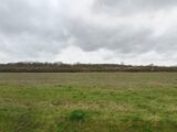 Terrain à bâtir à Fontenilles (31470) 178-100016annonce120250224n4pZC.jpeg Natilia