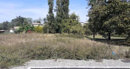 Salles-sur-Garonne Maison neuve - 342-100016annonce120250404KFa6x.jpeg Natilia