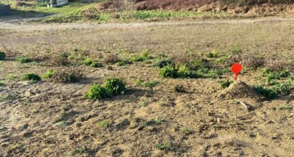 Nailloux Maison neuve - 167-100016annonce120250301zGUQz.jpeg Natilia