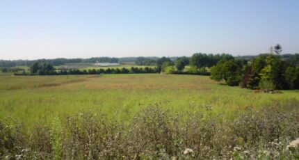Chevanceaux Maison neuve - 547-100024annonce120250604241Fu.jpeg Natilia
