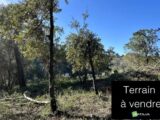 Terrain à bâtir à Lacanau Océan (33680) 546-100024annonce120250603FEkTM.jpeg Natilia
