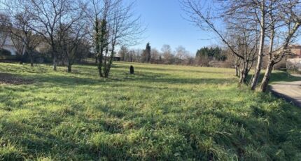 Saussens Maison neuve - 631-100016annonce120250626x1AoZ.jpeg Natilia