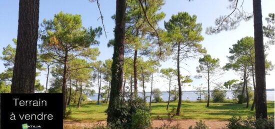 Terrain à bâtir à , Gironde