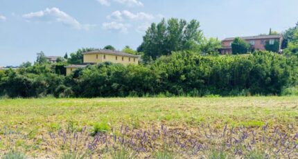 Clermont-le-Fort Maison neuve - 649-100016annonce120250702RDb5e.jpeg Natilia