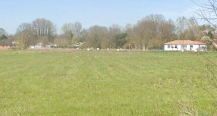 Longages Maison neuve - 670-100016annonce120250703OAZA9.jpeg Natilia