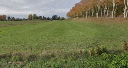 Layrac-sur-Tarn Terrain à bâtir - 737-100016annonce120250805b2QXm.jpeg Natilia
