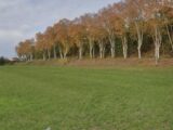 Terrain à bâtir à Layrac-sur-Tarn (31340) 737-100016annonce220250805lTwSN.jpeg Natilia