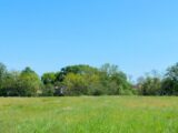 Maison à construire à Saint-Lys (31470) 748-100016annonce120250806S7x7y.jpeg Natilia
