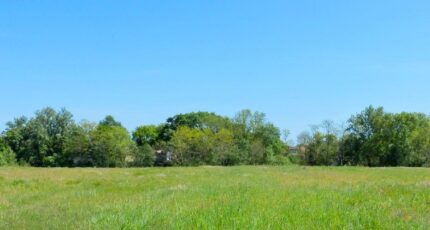 Saint-Lys Terrain à bâtir - 2263742-100016annonce120250806S7x7y.jpeg Natilia