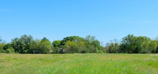 Terrain à bâtir à Saint-Lys, Occitanie