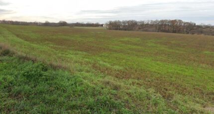 Auzielle Terrain à bâtir - 2263745-100016annonce120250806KOfro.jpeg Natilia