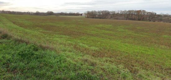 Terrain à bâtir à Auzielle, Occitanie