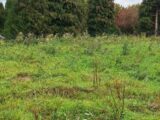 Terrain à bâtir à Saint-Jean-du-Cardonnay (76150) 2301589-11619annonce120251010mRTtB.jpeg Natilia