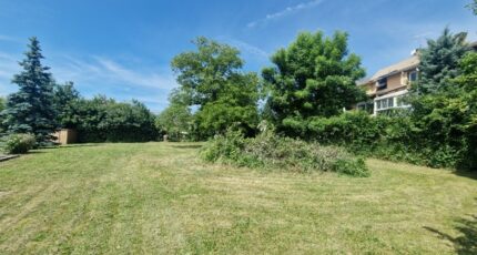 Gap Maison neuve - 2320278-11627annonce120251029e8LQP.jpeg Natilia