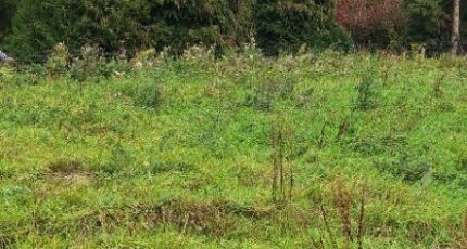 Saint-Jean-du-Cardonnay Maison neuve - 2301652-11619annonce120251010mRTtB.jpeg Natilia