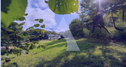 Crots Maison neuve - 2281559-11627annonce120250924TgR2w.jpeg Natilia