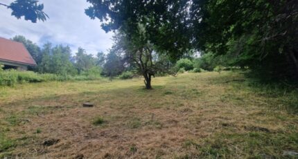 Laye Maison neuve - 2281589-11627annonce120250924Vv7Ra.jpeg Natilia