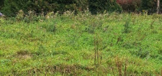 Terrain à bâtir à Saint-Jean-du-Cardonnay, Normandie
