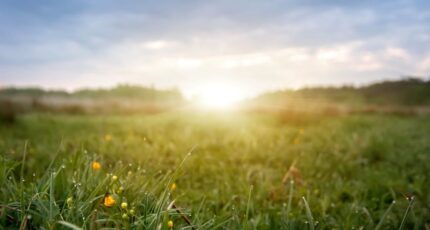 Anse Maison neuve - 2421222-11777annonce120260206n7OrX.jpeg Natilia