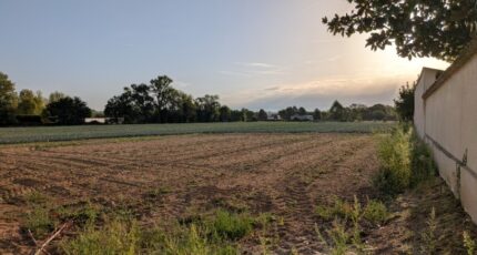 Saint-Georges-de-Reneins Maison neuve - 2646148-11777annonce120260923tNr1c.jpeg Natilia