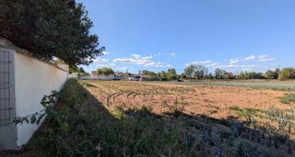 Saint-Georges-de-Reneins Maison neuve - 2646148-11777annonce320260923BAwgs.jpeg Natilia