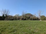 Terrain à bâtir à Muret (31600) 2668412-11925annonce120261008py7in.jpeg Natilia