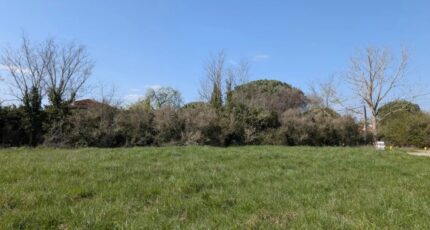 Muret Terrain à bâtir - 2668412-11925annonce120261008py7in.jpeg Natilia