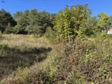 Terrain à bâtir à Fouillouse (05130) 2673150-11627annonce120261012tcVSl.jpeg Natilia