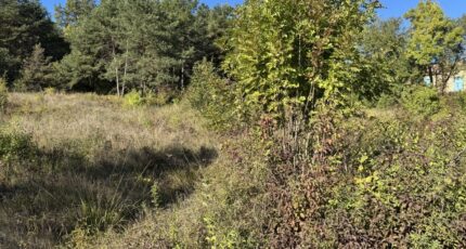 Fouillouse Terrain à bâtir - 2673150-11627annonce120261012tcVSl.jpeg Natilia