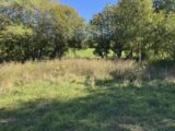 Terrain à bâtir à Forest-Saint-Julien (05260) 2675117-11627annonce220261013H00K2.jpeg Natilia