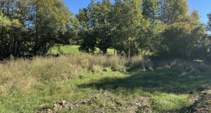 Forest-Saint-Julien Maison neuve - 2675158-11627annonce320261013kmNTt.jpeg Natilia