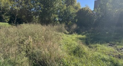 Forest-Saint-Julien Maison neuve - 2675150-11627annonce120261013LdgOF.jpeg Natilia