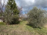 Terrain à bâtir à Villeneuve (04180) 2595351-11714annonce220260803t2q2M.jpeg Natilia