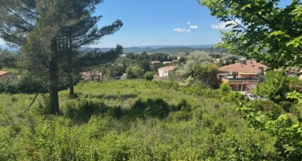 Apt Maison neuve - 2597237-11714annonce120260806Wa3N3.jpeg Natilia