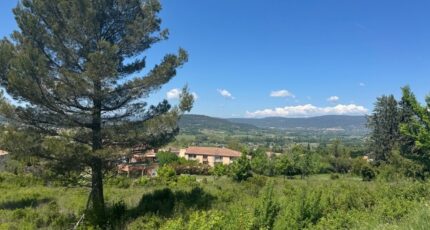 Apt Maison neuve - 2595388-11714annonce320260803uFHD7.jpeg Natilia