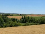 Terrain à bâtir à Sainte-Livrade (31530) 2678960-11925annonce120261015Bwp7O.jpeg Natilia