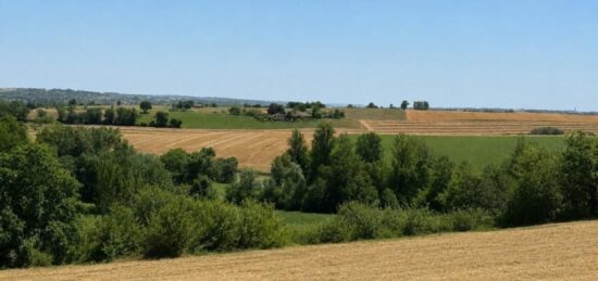 Terrain à bâtir à Sainte-Livrade, Occitanie