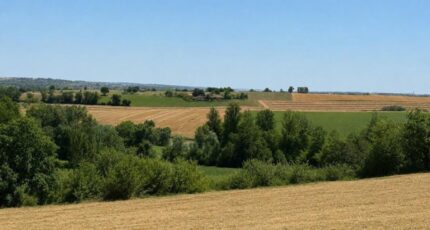 Sainte-Livrade Maison neuve - 2678961-11925annonce120261015Bwp7O.jpeg Natilia